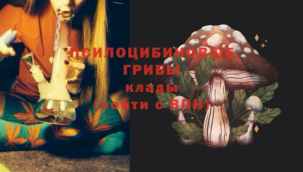 мяу мяу мука Аркадак