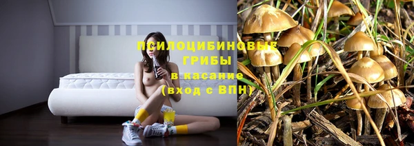 альфа пвп Армянск